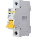 mva20-1-016-c-iek