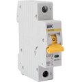 mva31-1-010-c-iek-(2)