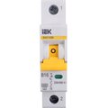 mva31-1-016-b-iek-(2)