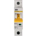 mva31-1-020-b-iek-(2)