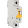 mva31-1-020-b-iek-(3)
