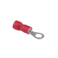 nki-1.25-4n_1