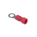 nki-1.25-4n_2