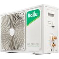 ns-1237146-ballu