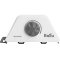 ns-1238688-ballu