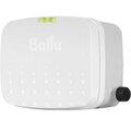 ns-1618763-ballu