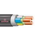 nt000005260-elprom