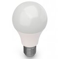 powerlight-l-8-vt-sibling