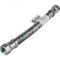 rg008s8tk8t7go-stout
