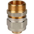 rg008s9c5ap2v1-stout