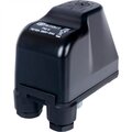 rg008tmq94flli-stout