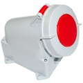 rpo32-903-beltiz
