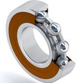 s0003837-dinroll