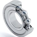 s0042677-dinroll