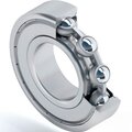 s0062436-dinroll