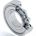 s0066580-dinroll
