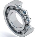 s0110084-dinroll