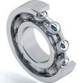 s0152286-dinroll