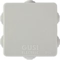 s3v76-evro-gusi-electric7