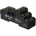 s4p2-releon