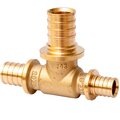 sf-441-040504-mvi