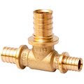 sf-441-050405-mvi