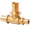 sf-441-050605-mvi