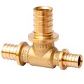 sf-441-060404-mvi
