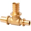 sf-441-060406-mvi