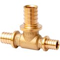 sf-441-060506-mvi