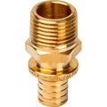 sfa-0001-003234-stout