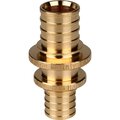 sfa-0004-002516-stout