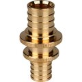 sfa-0004-003225-stout