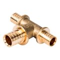 sfa-0014-252020-stout