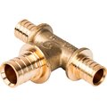 sfa-0014-252516-stout