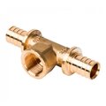 sfa-0028-002012-stout