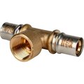 sfp-0007-003420-stout