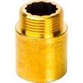 sft-0001-001230-stout