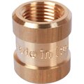 sft-0005-001818-stout