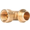 sft-0015-000034-stout