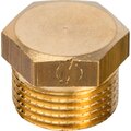 sft-0024-000038-stout