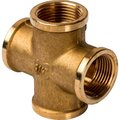 sft-0030-000034-stout