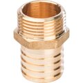 sft-0035-000125-stout