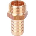 sft-0035-001216-stout