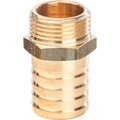 sft-0035-003420-stout