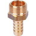 sft-0035-003812-stout