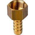 sft-0036-001210-stout