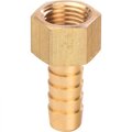 sft-0036-001218-stout