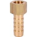 sft-0036-001810-stout