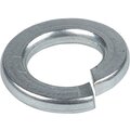 shgr6-inox-ekf